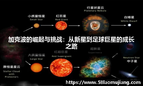 完美体育登录入口